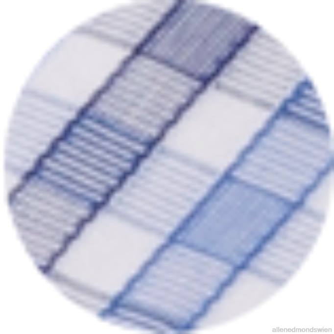 Allen Edmonds Clothing D66B167 | Allen Edmonds untuckit durif Langarmshirt Blau unisex