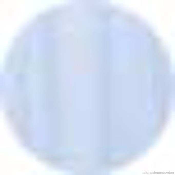 Allen Edmonds Clothing D66B212 | Allen Edmonds Barbour Oxford 3 Hemd Himmelblau unisex