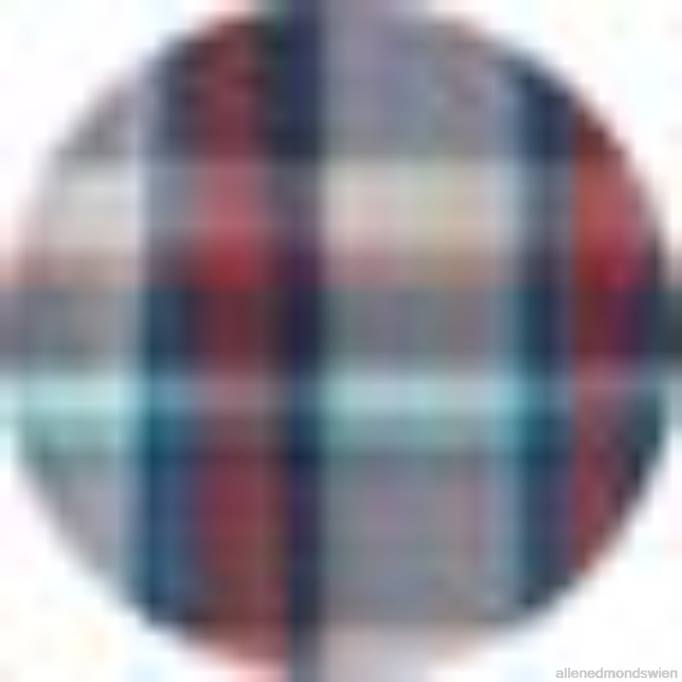 Allen Edmonds Clothing D66B218 | Allen Edmonds Barbour Langstone Kurzarmhemd Blau unisex