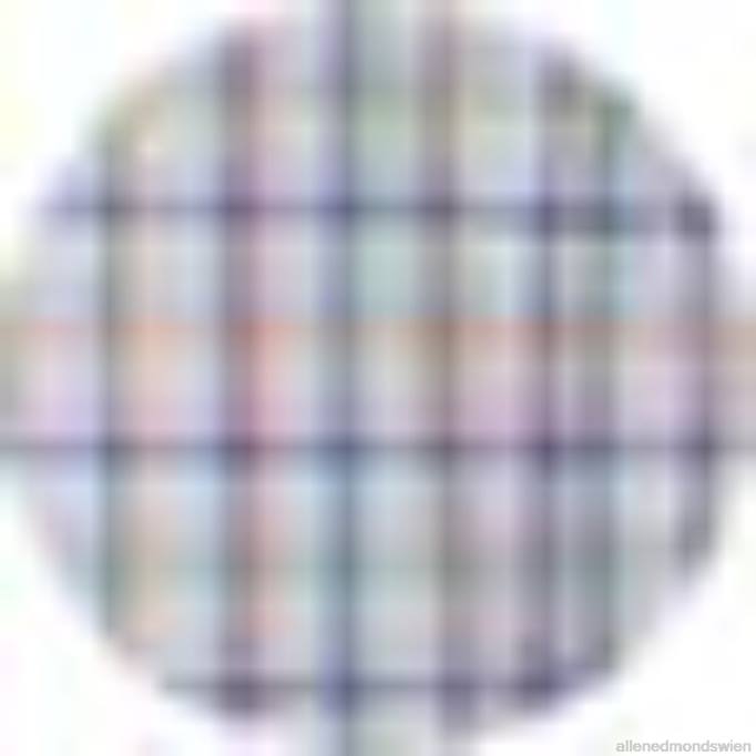 Allen Edmonds Clothing D66B227 | Allen Edmonds Barbour Crantock Hemd Himmelblau unisex