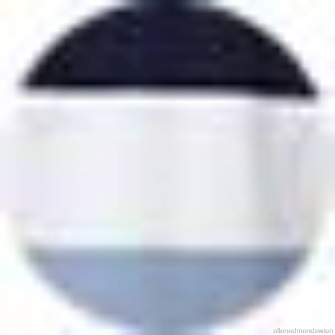 Allen Edmonds Clothing D66B232 | Allen Edmonds Barbour-Stranton-Polo Blau unisex