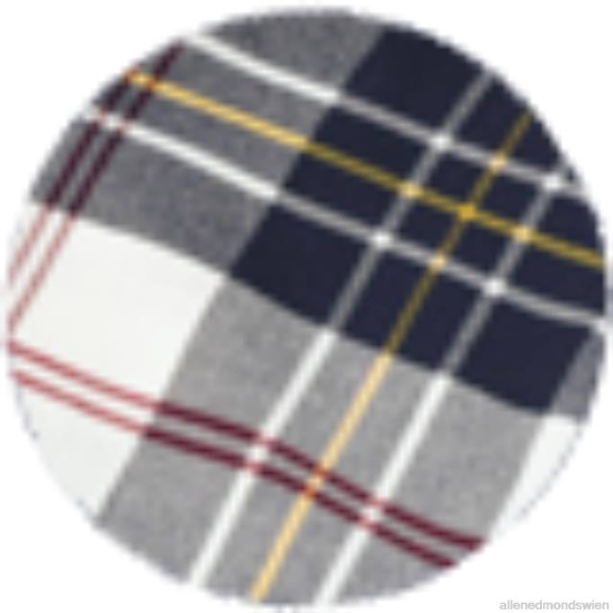 Allen Edmonds Clothing D66B263 | Allen Edmonds Barbour Ronan kariertes Flanellhemd Knochen/Blau unisex