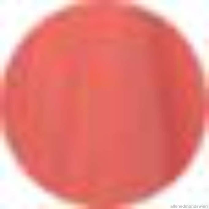 Allen Edmonds Clothing D66B522 | Allen Edmonds Greyers South Bay Slub-Polo Terrakotta unisex