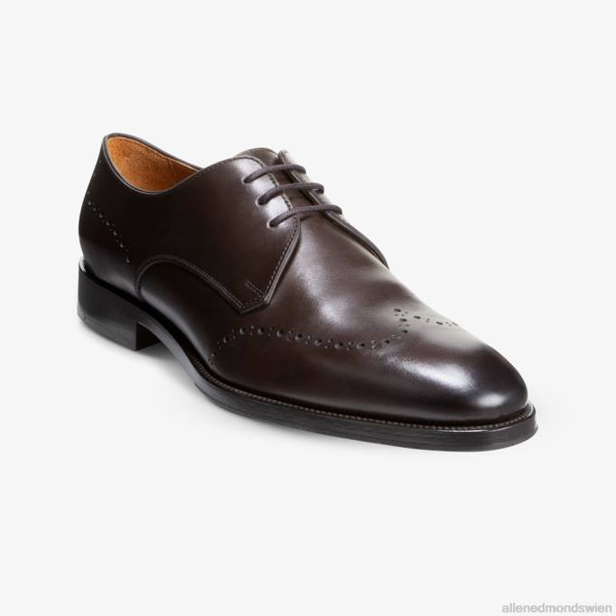 Allen Edmonds Schuhe D66B319 | Allen Edmonds Lucca Derby-Schuh dunkelbraun Männer