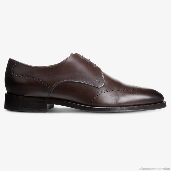 Allen Edmonds Schuhe D66B319 | Allen Edmonds Lucca Derby-Schuh dunkelbraun Männer