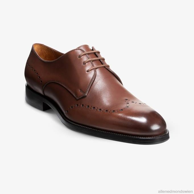 Allen Edmonds Schuhe D66B321 | Allen Edmonds Lucca Derby-Schuh dunkles Chili Männer