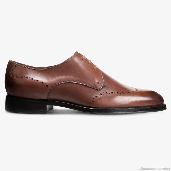 Allen Edmonds Schuhe D66B321 | Allen Edmonds Lucca Derby-Schuh dunkles Chili Männer