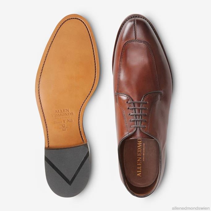 Allen Edmonds Schuhe D66B374 | Allen Edmonds Delray Blücher Anzugschuh dunkles Chili Männer