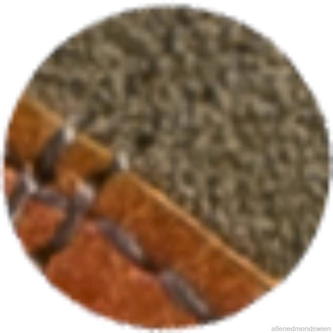 Allen Edmonds Schuhe D66B454 | Allen Edmonds Discovery-Derby-Schuh aus Wildleder Nelke/Cognac Männer