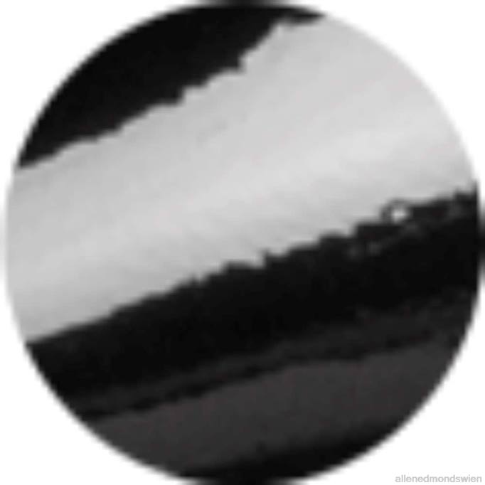 Allen Edmonds Schuhe D66B10 | Allen Edmonds Park Avenue Oxford-Schuh mit Kappenkappe schwarzes Lackleder Männer