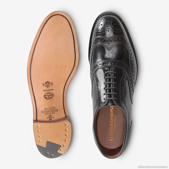 Allen Edmonds Schuhe D66B324 | Allen Edmonds Cambridge Shell Cordovan Wingtip-Kleiderschuh schwarzer Cordovan Männer