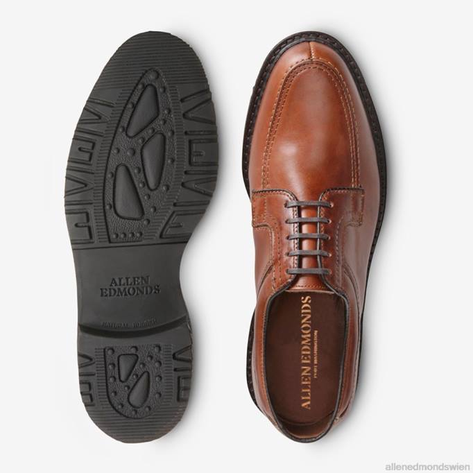 Allen Edmonds Schuhe D66B51 | Allen Edmonds Wilbert Komfortschuh braun Männer