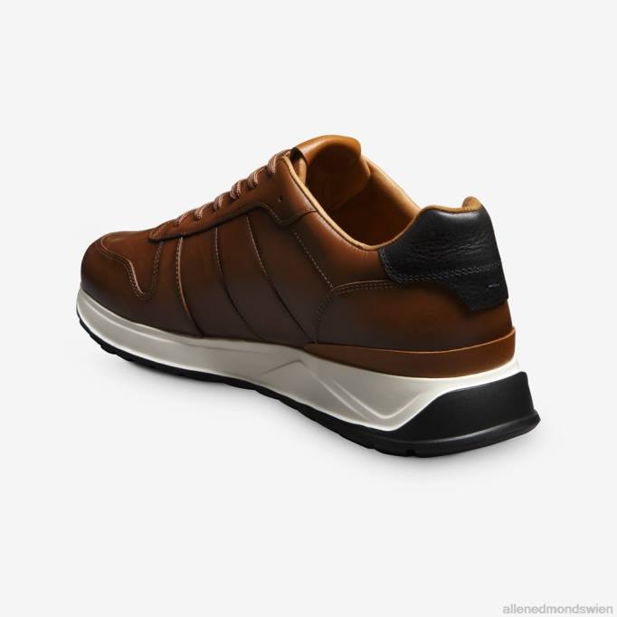 Allen Edmonds Schuhe D66B335 | Allen Edmonds Lawson-Schnürsneaker Kastanienleder Männer