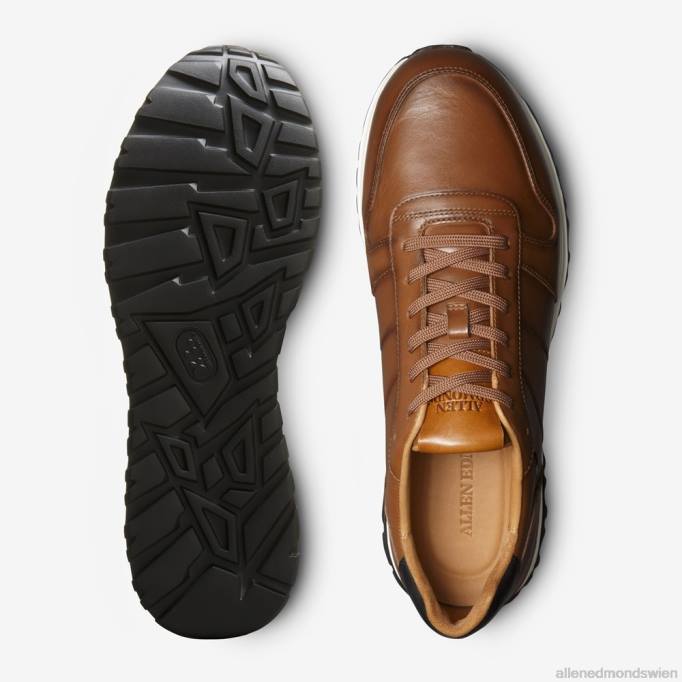 Allen Edmonds Schuhe D66B335 | Allen Edmonds Lawson-Schnürsneaker Kastanienleder Männer
