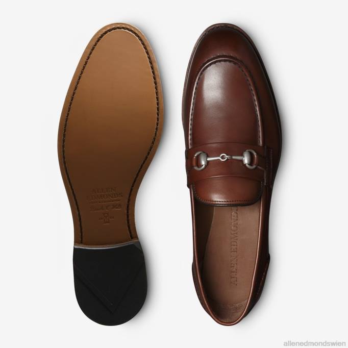 Allen Edmonds Schuhe D66B189 | Allen Edmonds Randolph Bit Loafer Chili-Leder Männer