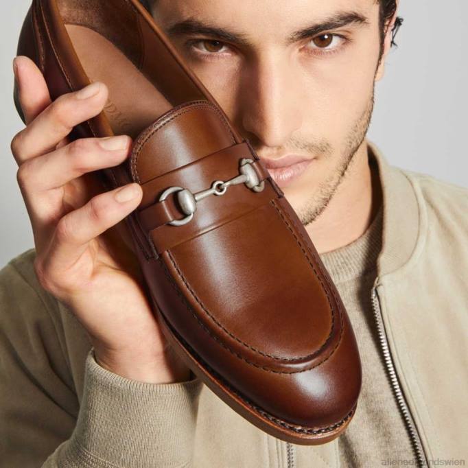 Allen Edmonds Schuhe D66B189 | Allen Edmonds Randolph Bit Loafer Chili-Leder Männer