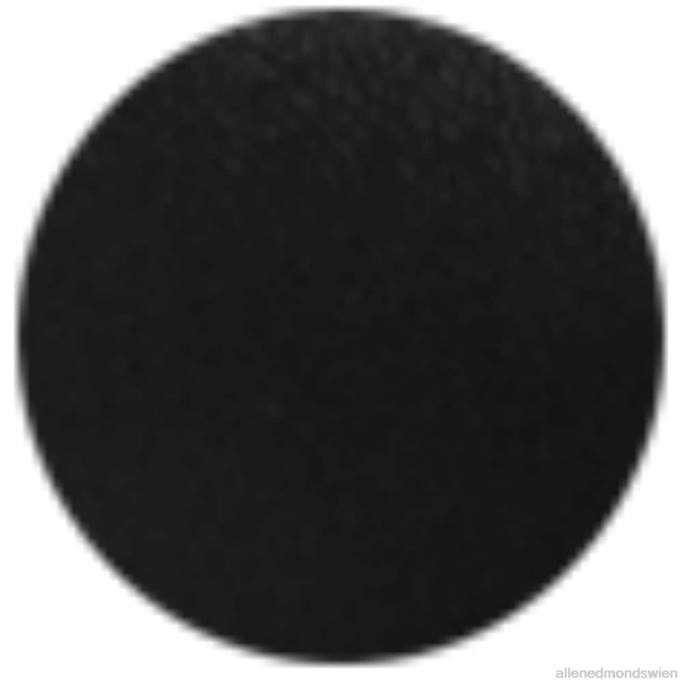 Allen Edmonds Schuhe D66B205 | Allen Edmonds Randolph Bit Slip-On-Sneaker schwarzes Leder Männer