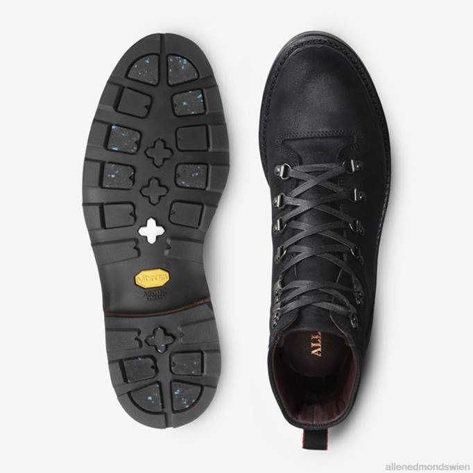 Allen Edmonds Schuhe D66B122 | Allen Edmonds Rockies hoher wetterfester Stiefel Schwarz Männer