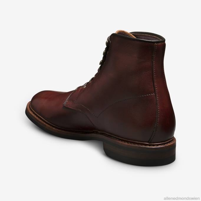 Allen Edmonds Schuhe D66B25 | Allen Edmonds Higgins Mill wetterfester Stiefel Chili-Chromexcel-Leder Männer