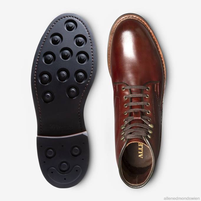 Allen Edmonds Schuhe D66B25 | Allen Edmonds Higgins Mill wetterfester Stiefel Chili-Chromexcel-Leder Männer