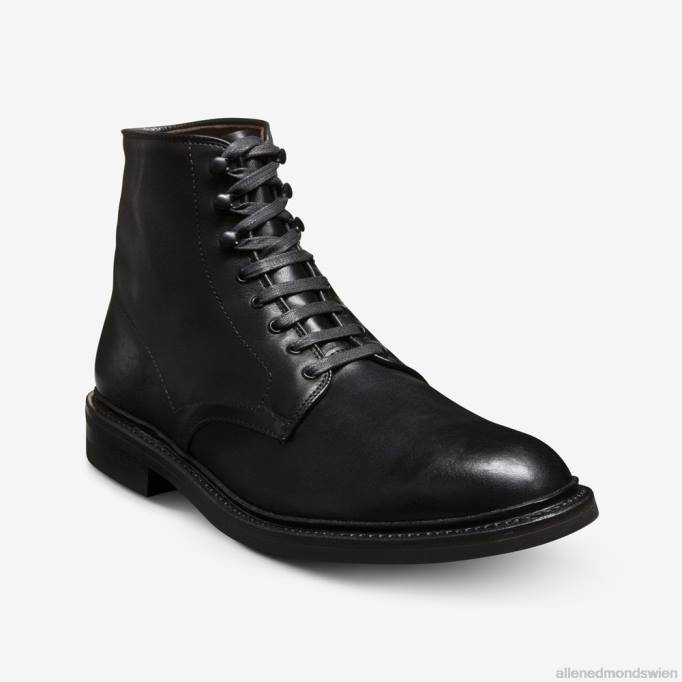 Allen Edmonds Schuhe D66B281 | Allen Edmonds Higgins Mill wetterfester Stiefel schwarzes deutsches Leder Männer