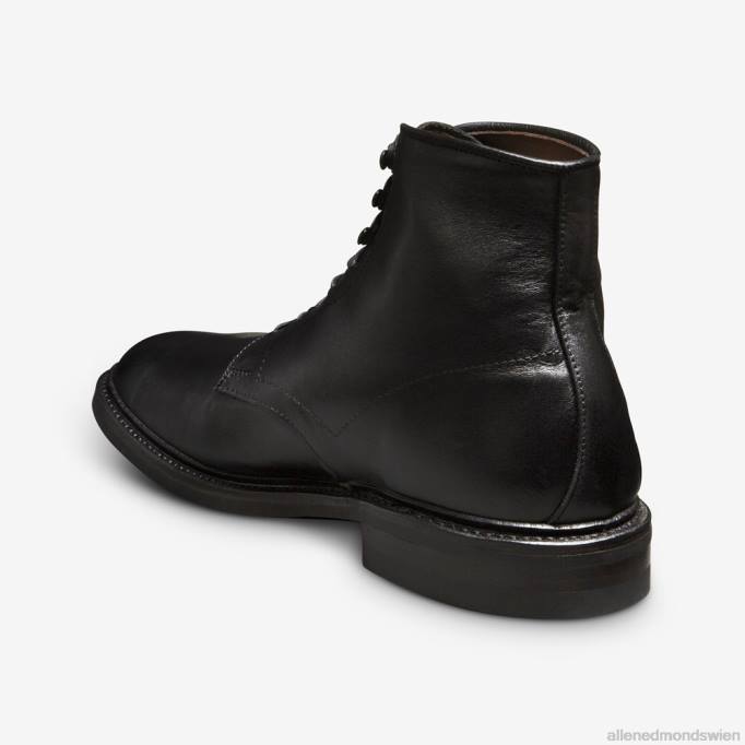 Allen Edmonds Schuhe D66B281 | Allen Edmonds Higgins Mill wetterfester Stiefel schwarzes deutsches Leder Männer