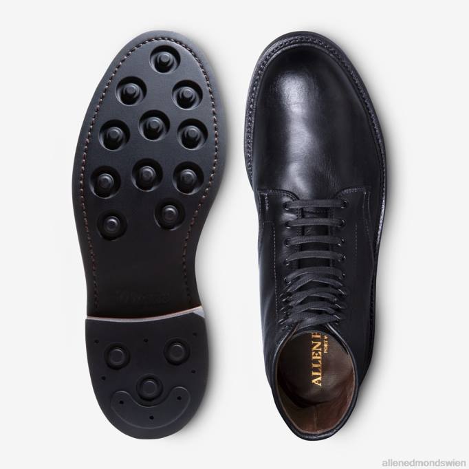 Allen Edmonds Schuhe D66B281 | Allen Edmonds Higgins Mill wetterfester Stiefel schwarzes deutsches Leder Männer