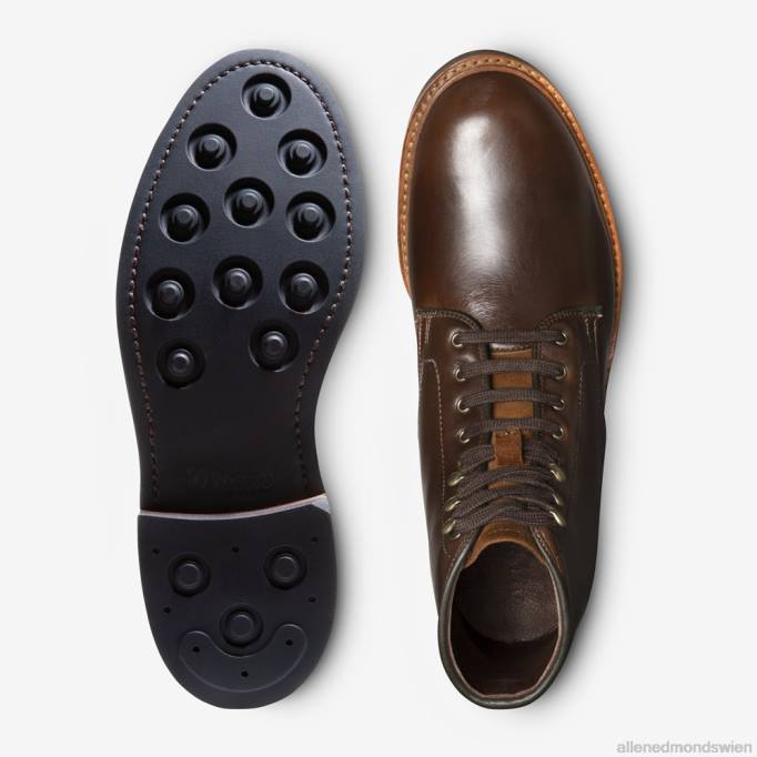 Allen Edmonds Schuhe D66B282 | Allen Edmonds Higgins Mill wetterfester Stiefel braunes Chromexcel-Leder Männer