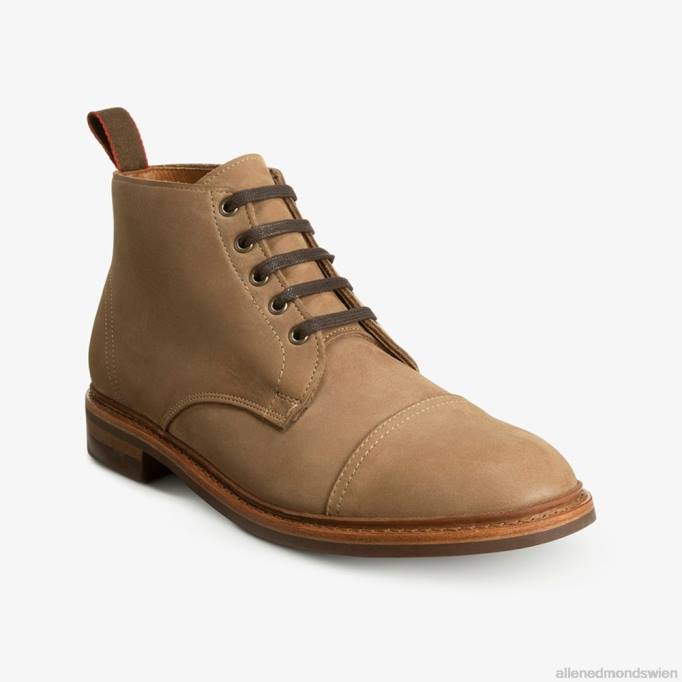 Allen Edmonds Schuhe D66B132 | Allen Edmonds Patton wetterfester Cap-Toe-Stiefel bräunen Männer