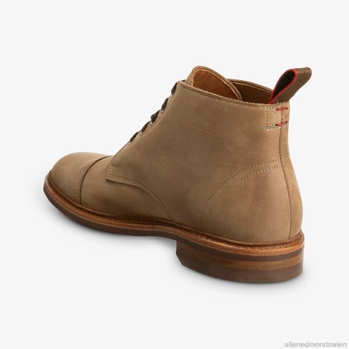 Allen Edmonds Schuhe D66B132 | Allen Edmonds Patton wetterfester Cap-Toe-Stiefel bräunen Männer