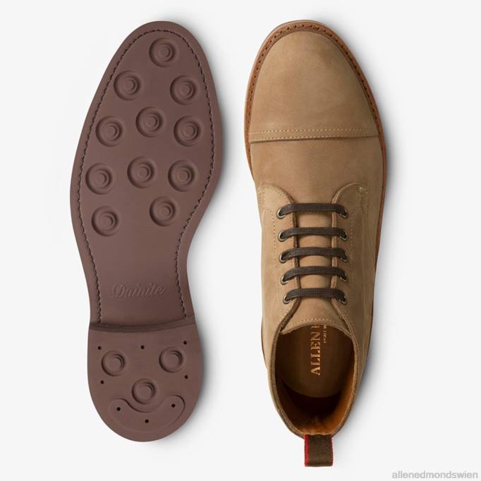 Allen Edmonds Schuhe D66B132 | Allen Edmonds Patton wetterfester Cap-Toe-Stiefel bräunen Männer