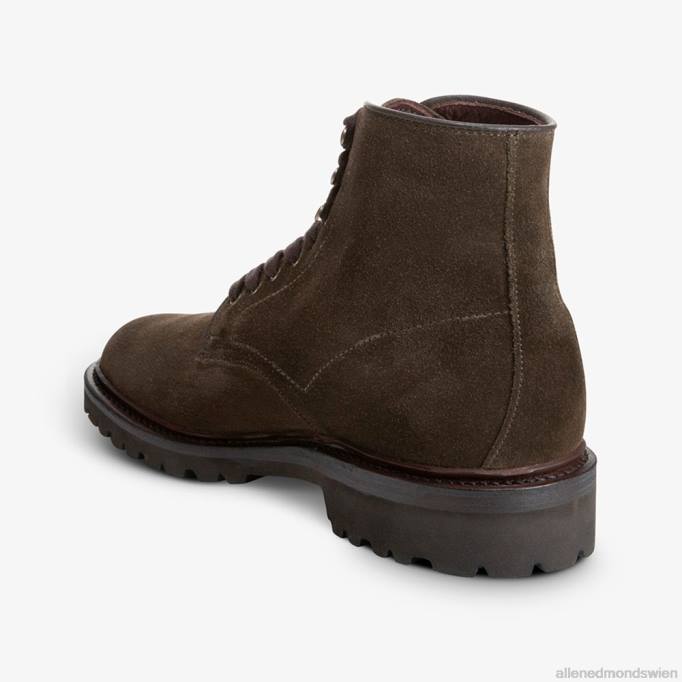 Allen Edmonds Schuhe D66B135 | Allen Edmonds Higgins-Mill-Stiefel mit Stollensohle Loden Männer