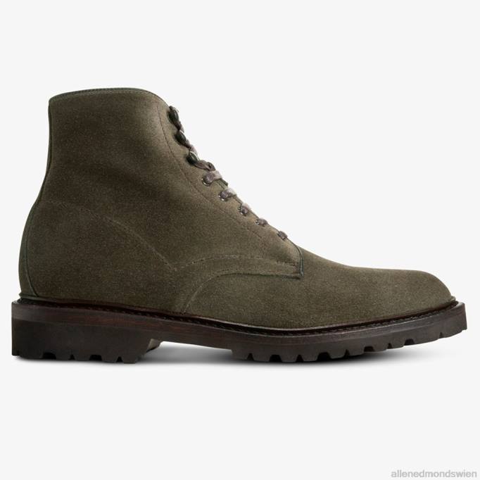 Allen Edmonds Schuhe D66B135 | Allen Edmonds Higgins-Mill-Stiefel mit Stollensohle Loden Männer