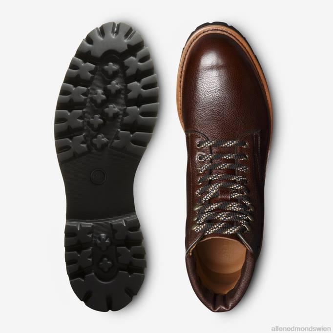 Allen Edmonds Schuhe D66B139 | Allen Edmonds Higgins Mill Wanderstiefel Chili-Leder Männer