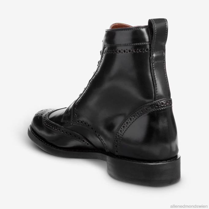Allen Edmonds Schuhe D66B141 | Allen Edmonds Dalton-Shell-Cordovan-Kleiderstiefel schwarzer Cordovan Männer