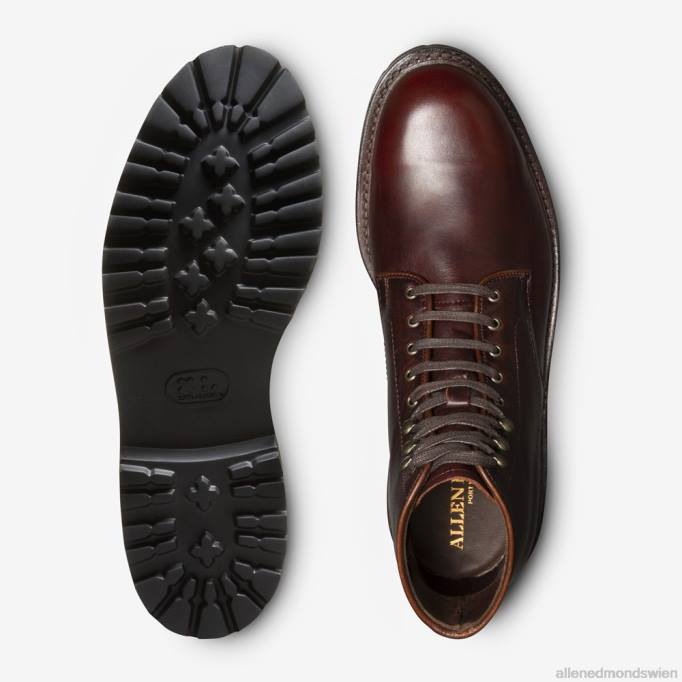 Allen Edmonds Schuhe D66B261 | Allen Edmonds Higgins Mill wetterfester Stiefel mit Stollensohle Burgund Männer