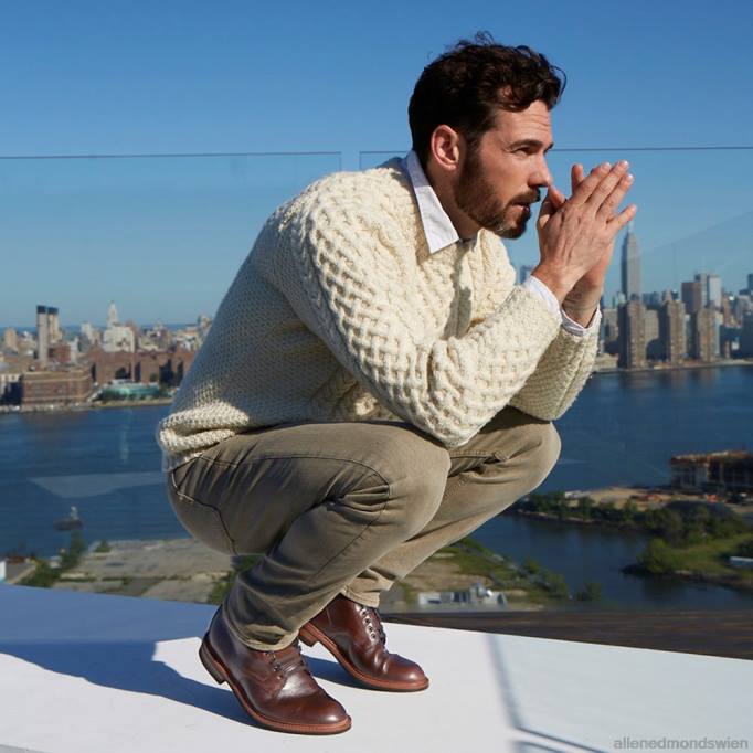 Allen Edmonds Schuhe D66B27 | Allen Edmonds Higgins Mill Boot mit Chromexcel-Leder braun Männer