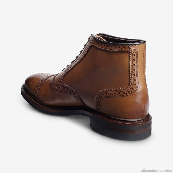 Allen Edmonds Schuhe D66B341 | Allen Edmonds Hamilton wetterfester Oxford-Kleiderstiefel Walnussbraun Männer