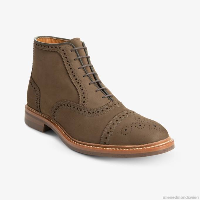 Allen Edmonds Schuhe D66B343 | Allen Edmonds Hamilton wetterfester Oxford-Kleiderstiefel braunes Nubuk Männer