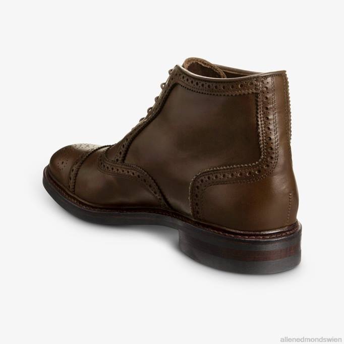 Allen Edmonds Schuhe D66B344 | Allen Edmonds Hamilton wetterfester Oxford-Kleiderstiefel braun Männer