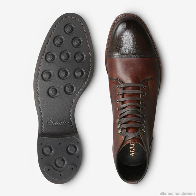 Allen Edmonds Schuhe D66B364 | Allen Edmonds Landon-Captoe-Stiefel chili/braun Männer