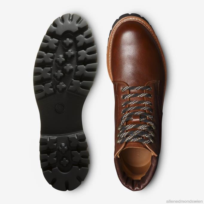 Allen Edmonds Schuhe D66B476 | Allen Edmonds Higgins Mill Wanderstiefel braunes Leder Männer