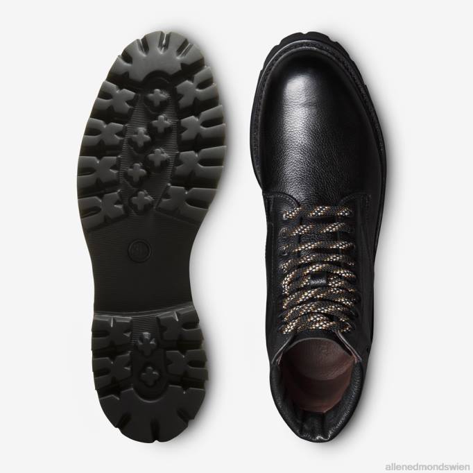 Allen Edmonds Schuhe D66B477 | Allen Edmonds Higgins Mill Wanderstiefel schwarzes Leder Männer