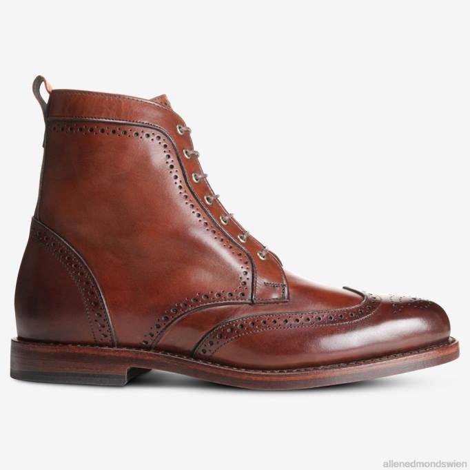 Allen Edmonds Schuhe D66B482 | Allen Edmonds Dalton Wingtip-Stiefel dunkles Chili Männer
