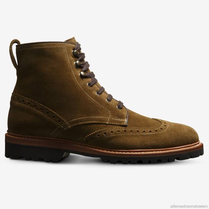 Allen Edmonds Schuhe D66B486 | Allen Edmonds Astor Wingtip-Stiefel Kaperngrün Männer
