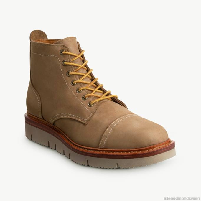 Allen Edmonds Schuhe D66B490 | Allen Edmonds Wetterfester Park City-Schnürstiefel bräunen Männer