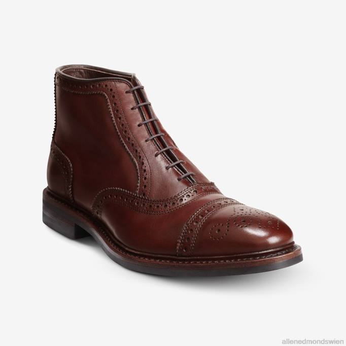Allen Edmonds Schuhe D66B55 | Allen Edmonds Hamilton wetterfester Oxford-Kleiderstiefel Chili Männer