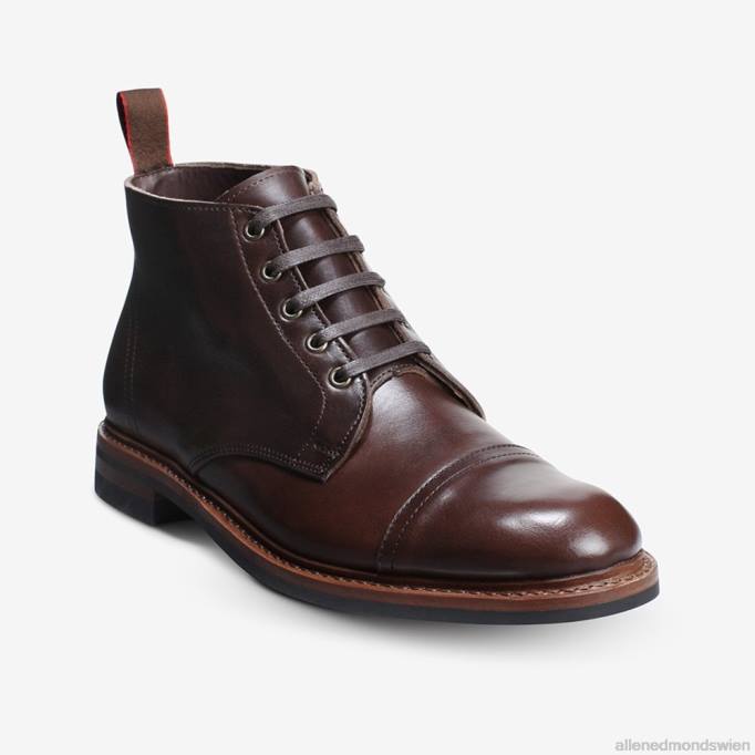 Allen Edmonds Schuhe D66B58 | Allen Edmonds Patton wetterfester Cap-Toe-Stiefel braun Männer