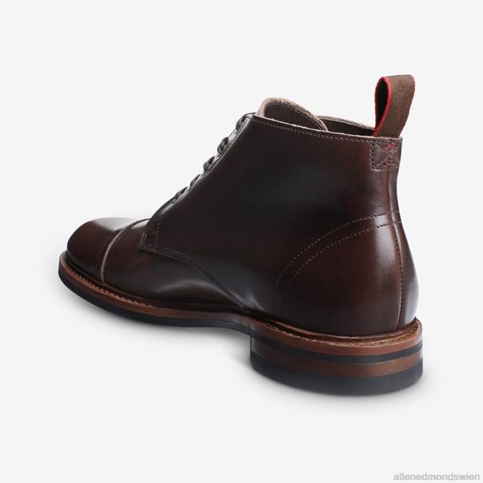Allen Edmonds Schuhe D66B58 | Allen Edmonds Patton wetterfester Cap-Toe-Stiefel braun Männer