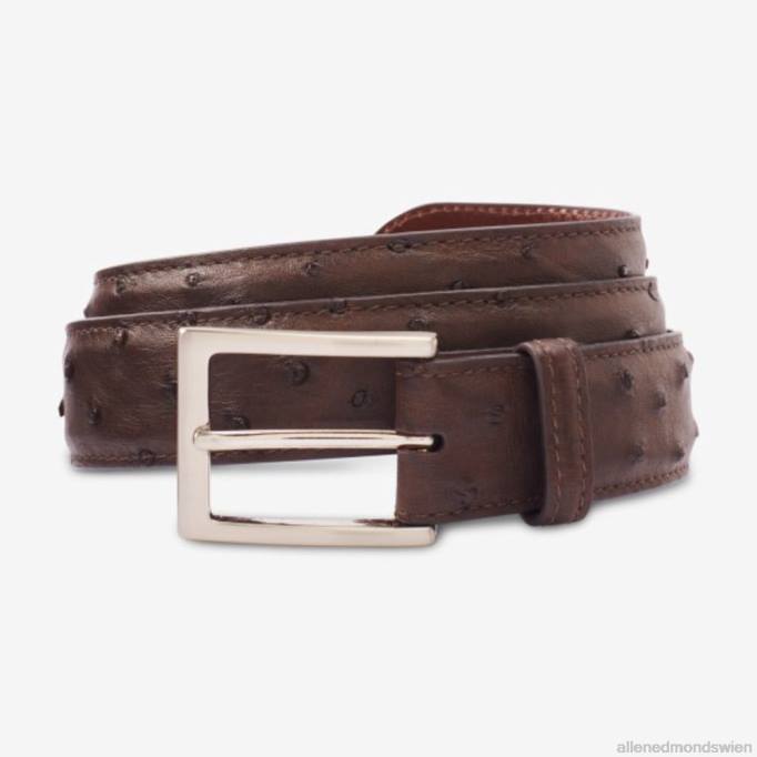 Allen Edmonds Österreich D66B285 | Allen Edmonds Ostrich Avenue Kleidergürtel Espressobraun unisex